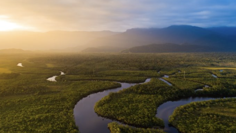 “Luces, Cámara y Región”: cuando la política se cuenta desde el territorio